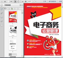 《電子商務(wù)企業(yè)運營管理培訓(xùn)與服務(wù) 216頁精要指南》